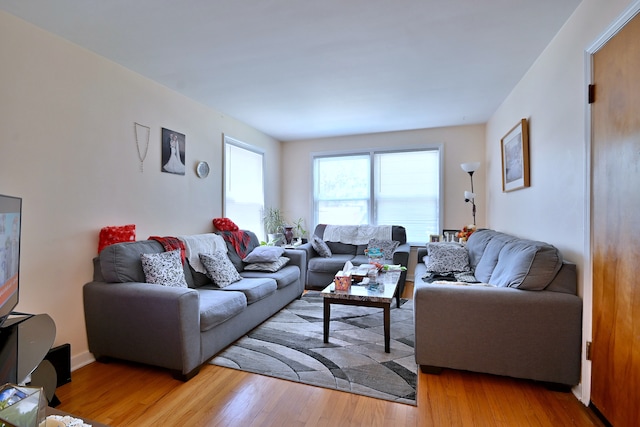 living area featuring wood finished floors