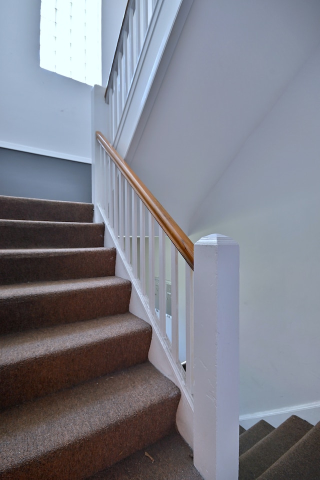 stairway with a high ceiling and carpet flooring
