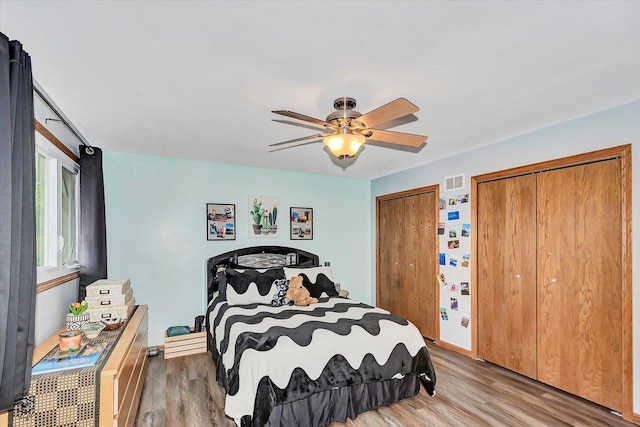 18905 Meadowview Dr, Mokena, IL 60448 - bedroom featuring two closets, wood finished floors, and a ceiling fan
