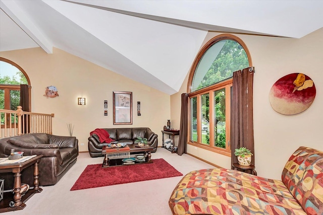18905 Meadowview Dr, Mokena, IL 60448 - living room featuring carpet and baseboards