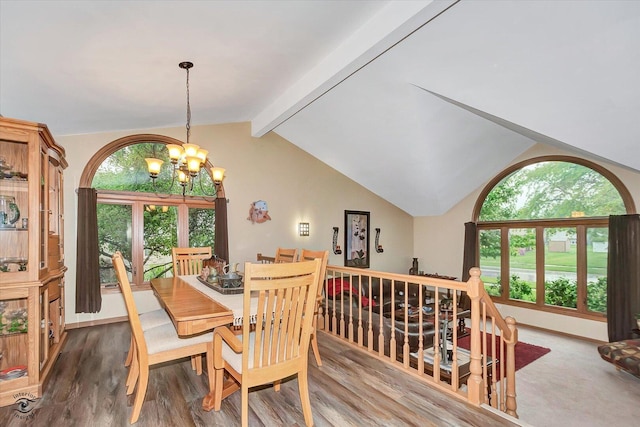 18905 Meadowview Dr, Mokena, IL 60448 - dining space with a chandelier, plenty of natural light, and wood finished floors