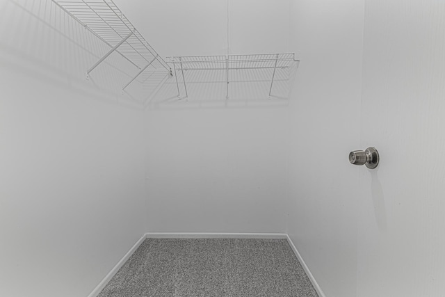 17357 W Maple Ln, Gurnee, IL 60031 - walk in closet featuring carpet