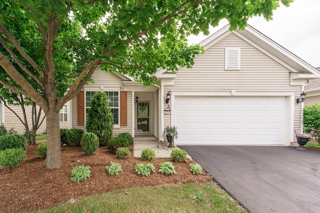 13445 Meadowlark Ln, Huntley, IL 60142 - traditional-style home featuring asphalt driveway and a garage