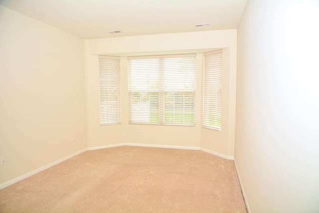 13445 Meadowlark Ln, Huntley, IL 60142 - spare room with light colored carpet