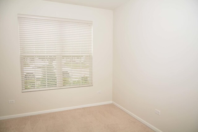 13445 Meadowlark Ln, Huntley, IL 60142 - empty room featuring light carpet