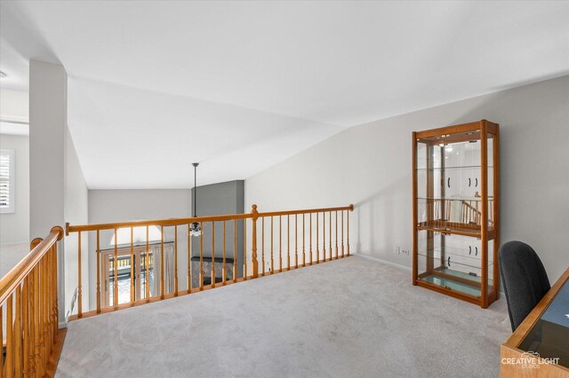 14715 Golf Rd, Orland Park, IL 60462 - photo 14