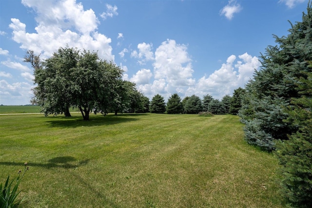 32931 E 1000 N Rd, Chatsworth, IL 60921 - photo 39