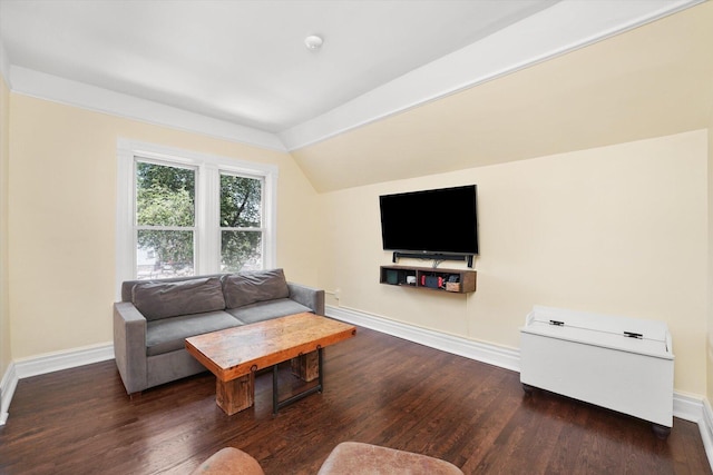 1629 W Foster Ave, Chicago, IL 60640 - living room featuring vaulted ceiling and wood finished floors