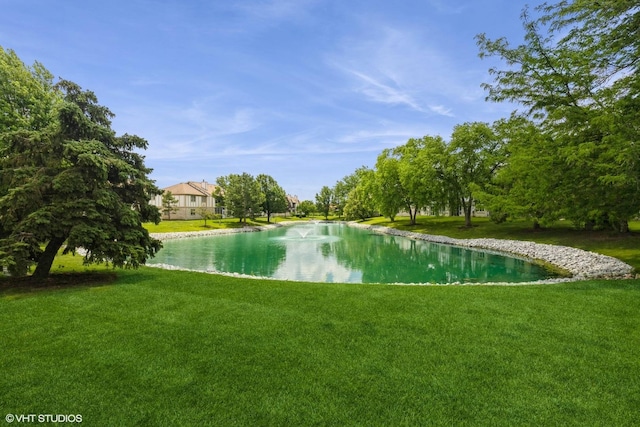 6433 Pine Cone Dr Unit 1, Tinley Park, IL 60477 - water view
