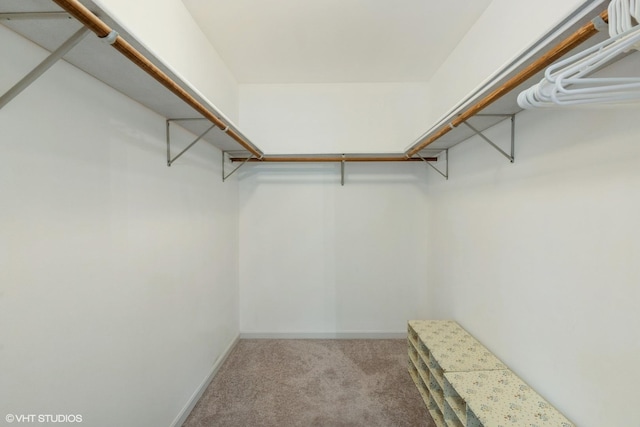 6433 Pine Cone Dr Unit 1, Tinley Park, IL 60477 - spacious closet with carpet