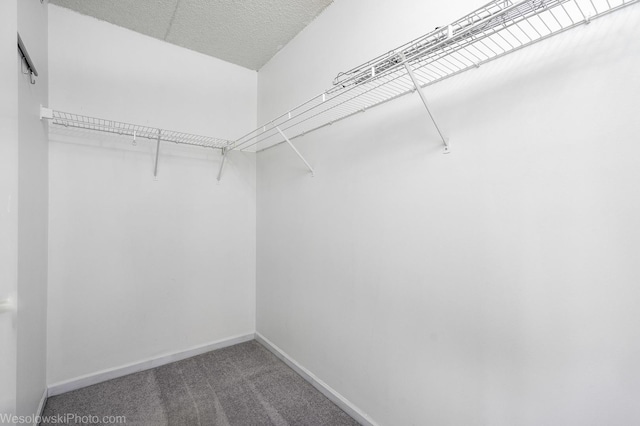 6211 Lincoln Ave Unit 402, Morton Grove, IL 60053 - walk in closet featuring carpet