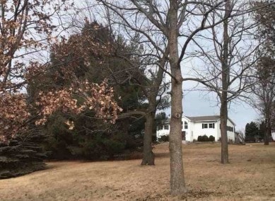 1176 Bay Dr, Dixon, IL 61021 - view of grassy yard