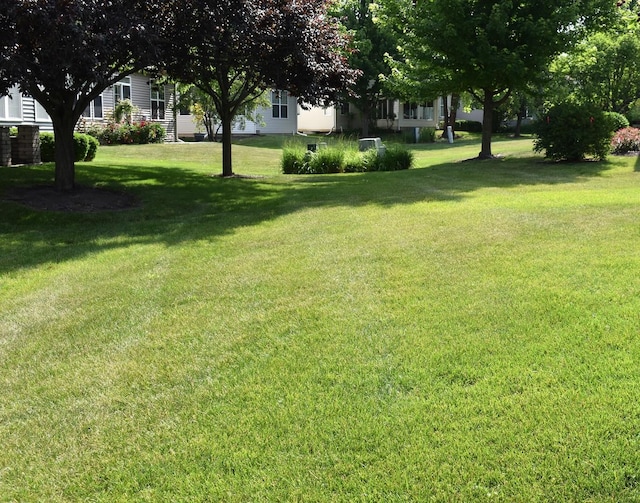 21316 Brush Lake Dr, Crest Hill, IL 60403 - photo 2