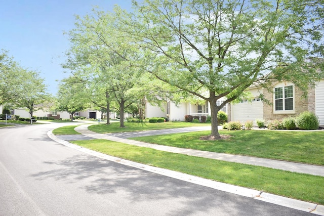 21316 Brush Lake Dr, Crest Hill, IL 60403 - photo 22