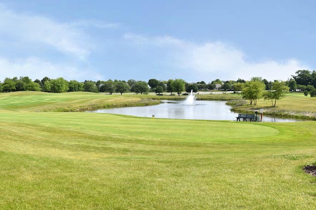 21316 Brush Lake Dr, Crest Hill, IL 60403 - photo 28