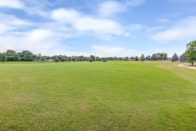 1407 Keats Ave, Naperville, IL 60564 - photo 49