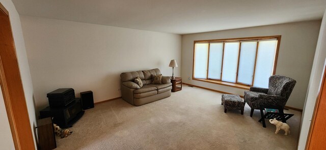 13027 Blue Grass Dr, Lemont, IL 60439 - photo 16