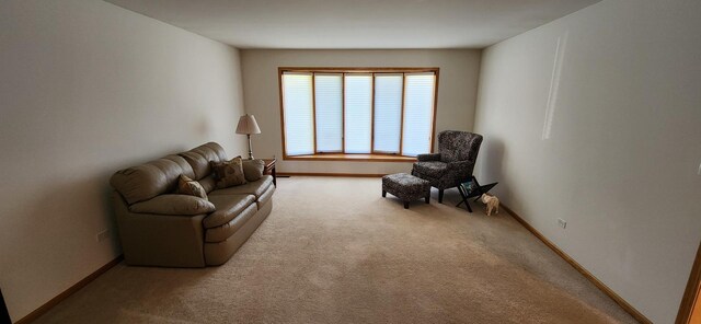 13027 Blue Grass Dr, Lemont, IL 60439 - photo 18