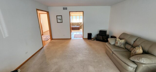 13027 Blue Grass Dr, Lemont, IL 60439 - photo 19