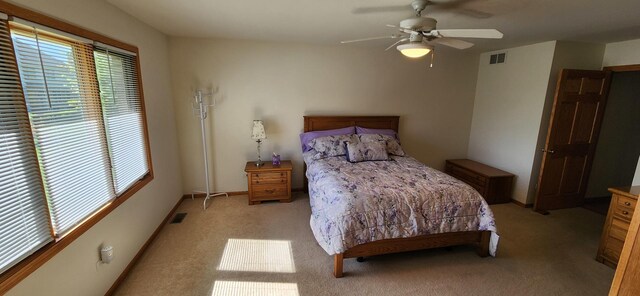 13027 Blue Grass Dr, Lemont, IL 60439 - photo 25