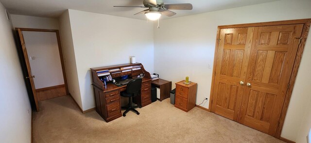 13027 Blue Grass Dr, Lemont, IL 60439 - photo 31