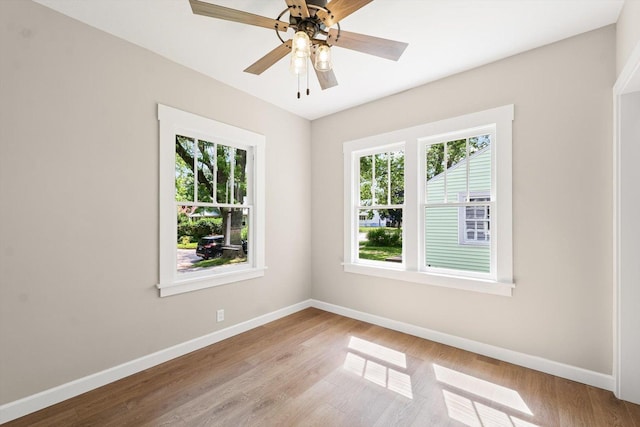 920 W Vine St, Champaign, IL 61821 - photo 15