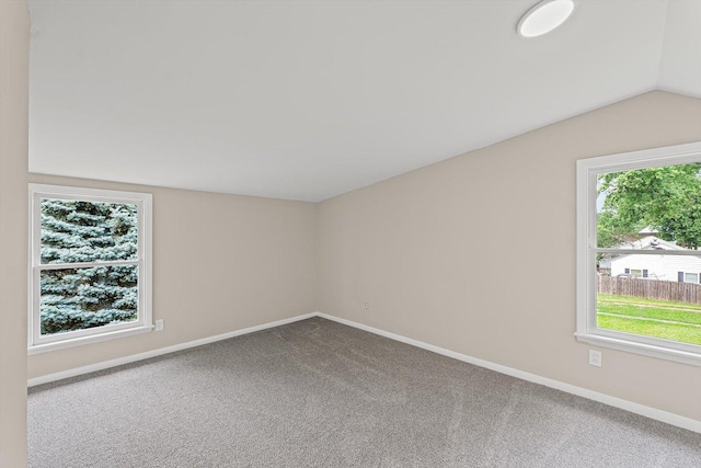 920 W Vine St, Champaign, IL 61821 - photo 21