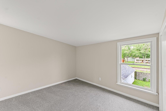 920 W Vine St, Champaign, IL 61821 - photo 23