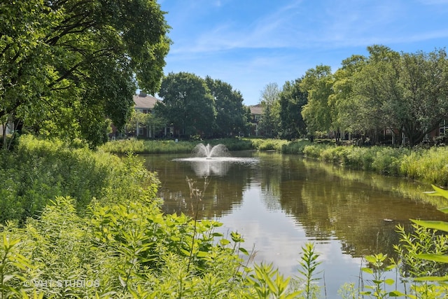 1007 Enfield Dr Unit 1007, Northbrook, IL 60062 - water view