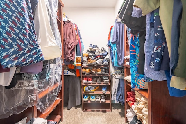 1812 S State St Unit 28, Chicago, IL 60616 - spacious closet with carpet floors