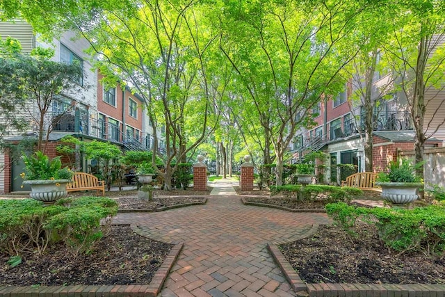 1812 S State St Unit 28, Chicago, IL 60616 - surrounding community