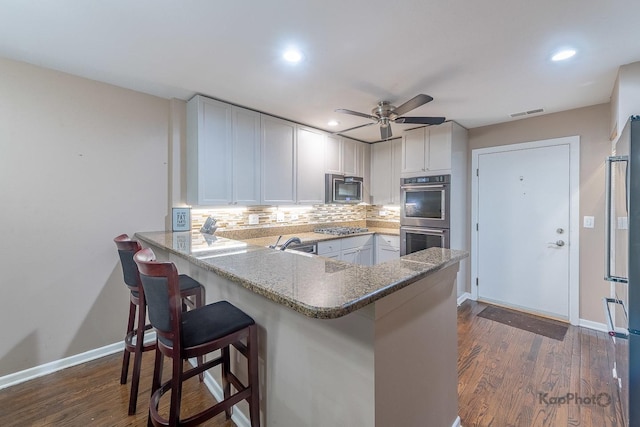 1812 S State St Unit 28, Chicago, IL 60616 - kitchen featuring appliances with stainless steel finishes, a peninsula, decorative backsplash, recessed lighting, and dark wood-style flooring
