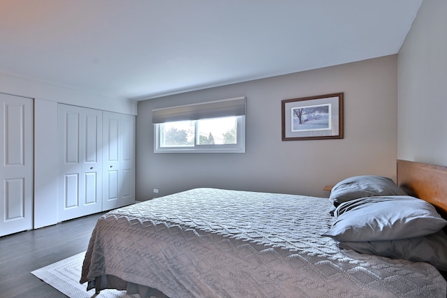 6869 N Overhill Ave Unit 2B, Chicago, IL 60631 - bedroom with wood finished floors and a closet
