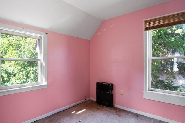 428 E Wilson St, Batavia, IL 60510 - bonus room with plenty of natural light, carpet flooring, and vaulted ceiling
