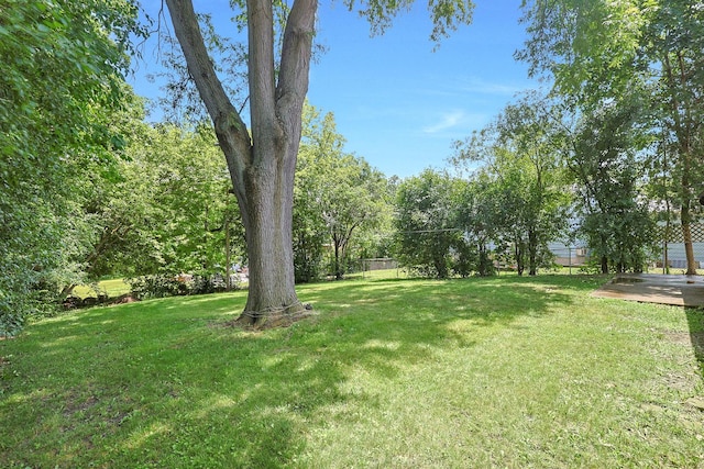 117 Timber Trl, Streamwood, IL 60107 - view of yard