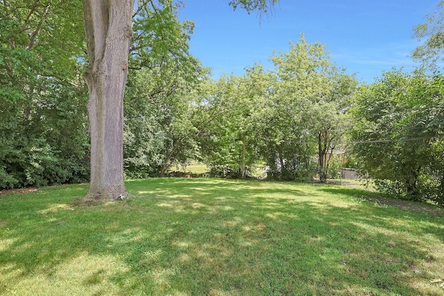117 Timber Trl, Streamwood, IL 60107 - view of yard