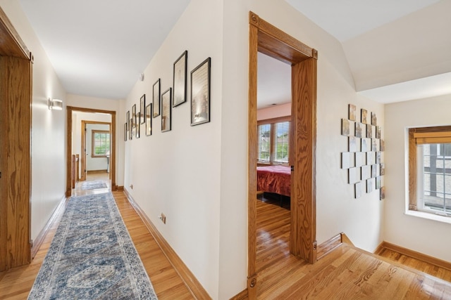 901 N E Ave, Oak Park, IL 60302 - photo 25