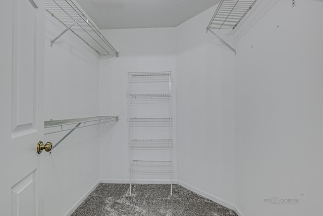 13 Willow Pkwy, Buffalo Grove, IL 60089 - spacious closet with carpet