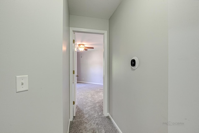 13 Willow Pkwy, Buffalo Grove, IL 60089 - hallway featuring carpet floors and baseboards