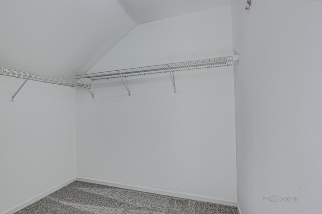 13 Willow Pkwy, Buffalo Grove, IL 60089 - walk in closet with vaulted ceiling and carpet floors