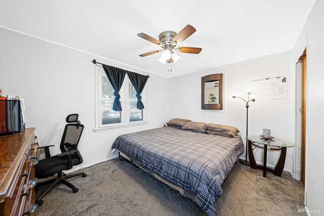 4209 SW Hwy Unit 4209, Hometown, IL 60456 - carpeted bedroom with baseboards and ceiling fan