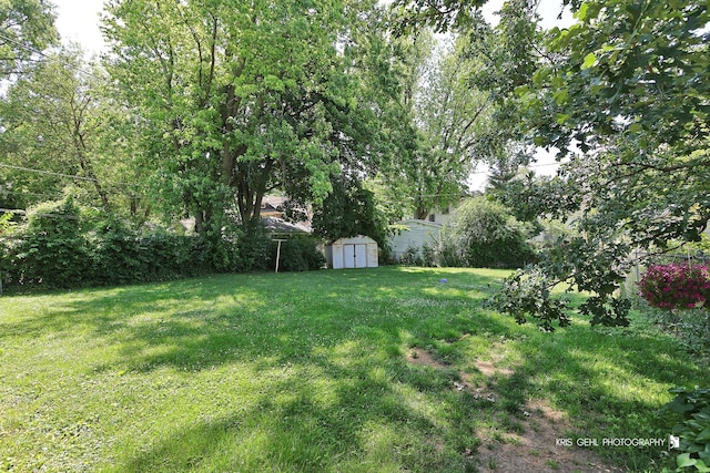329 W Ridgeland Ave, Waukegan, IL 60085 - view of green lawn with a storage shed