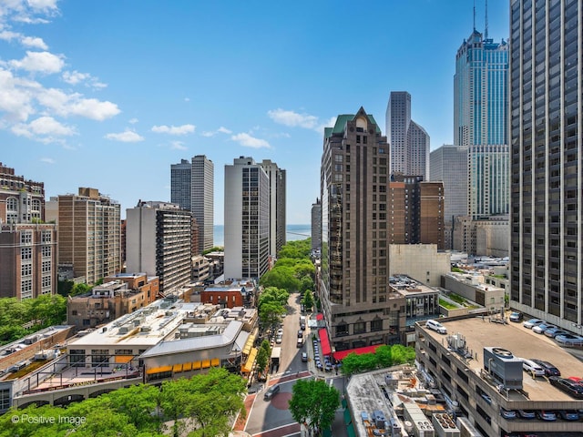 1030 N State St Unit 9G, Chicago, IL 60610 - view of city skyline