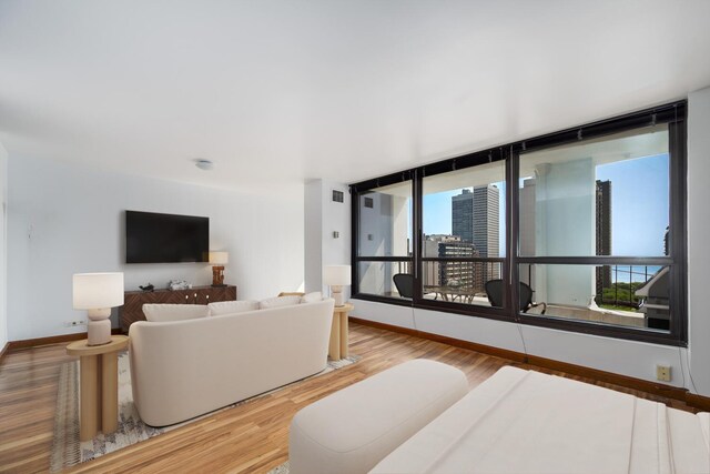 1030 N State St Unit 9G, Chicago, IL 60610 - living room with baseboards and wood finished floors