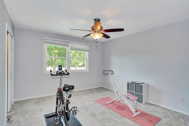 235 Fox Trail Ct, Bourbonnais, IL 60914 - workout area with a ceiling fan and carpet