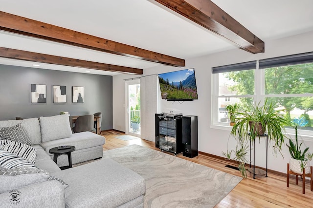 235 Fox Trail Ct, Bourbonnais, IL 60914 - living room featuring healthy amount of natural light, light wood-style flooring, and beam ceiling