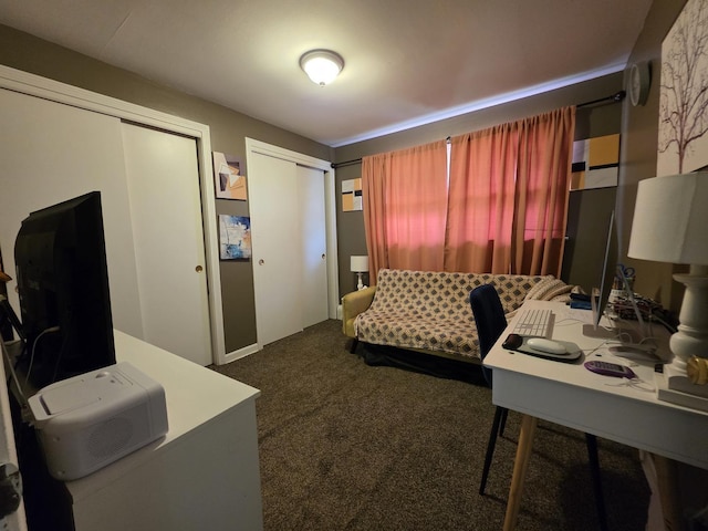 3641 W 120th St, Alsip, IL 60803 - bedroom featuring multiple closets and dark carpet