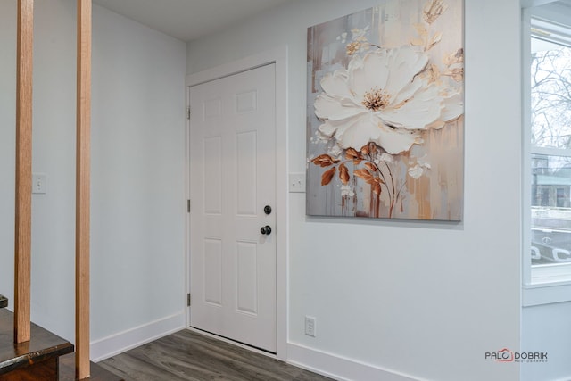 38236 N Lee Ave, Spring Grove, IL 60081 - entryway with dark wood-style floors and baseboards