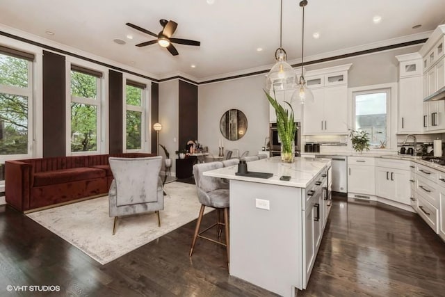 4730 S Champlain Ave Unit 3, Chicago, IL 60615 - kitchen with dishwasher, open floor plan, ornamental molding, healthy amount of natural light, and recessed lighting