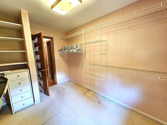 9616 Zimmer Dr, Algonquin, IL 60102 - walk in closet with carpet floors